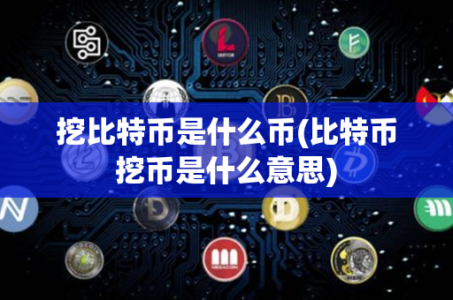 挖比特币是什么币(比特币挖币是什么意思)