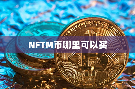 NFTM币哪里可以买第1张-币家园