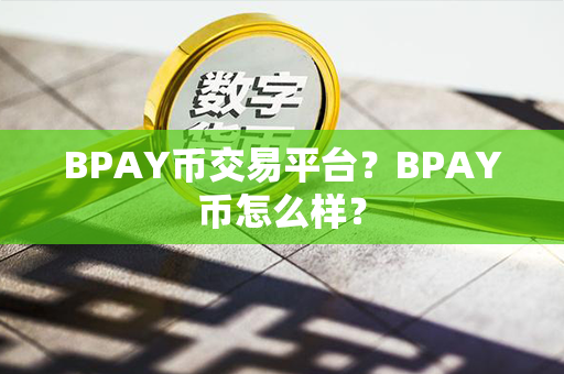 BPAY币交易平台？BPAY币怎么样？