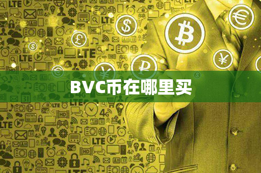 BVC币在哪里买第1张-币家园