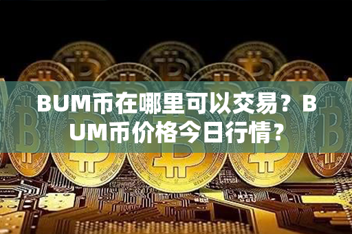 BUM币在哪里可以交易？BUM币价格今日行情？第1张-币家园