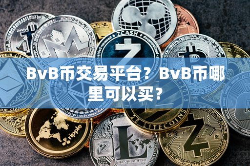 BvB币交易平台？BvB币哪里可以买？第1张-币家园