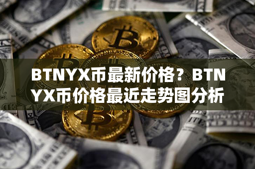 BTNYX币最新价格？BTNYX币价格最近走势图分析？第1张-币家园