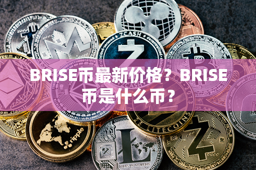 BRISE币最新价格？BRISE币是什么币？第1张-币家园