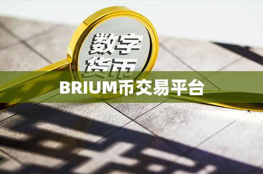 BRIUM币交易平台