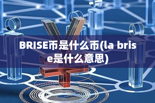 BRISE币是什么币(la brise是什么意思)