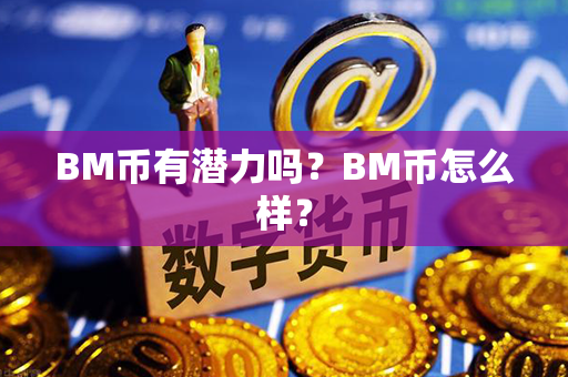 BM币有潜力吗？BM币怎么样？第1张-币家园