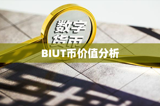 BIUT币价值分析