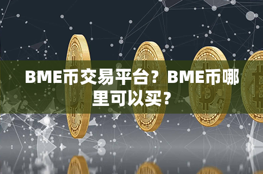 BME币交易平台？BME币哪里可以买？第1张-币家园