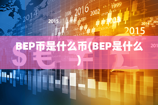 BEP币是什么币(BEP是什么)第1张-币家园