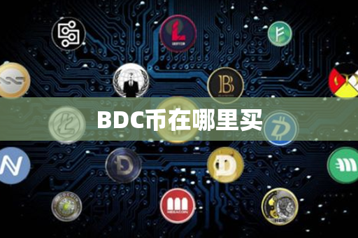 BDC币在哪里买