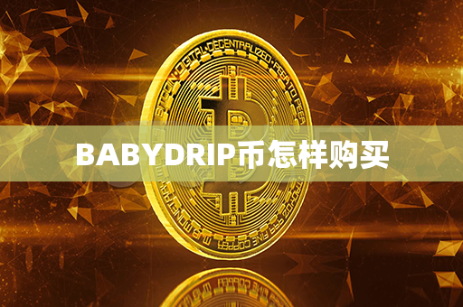 BABYDRIP币怎样购买第1张-币家园