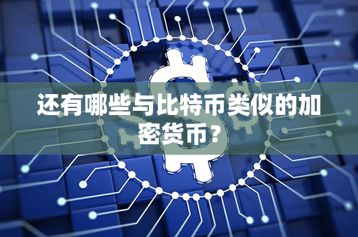 还有哪些与比特币类似的加密货币？第1张-币家园