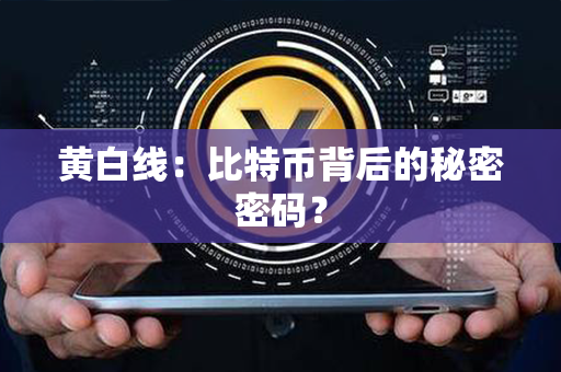 黄白线：比特币背后的秘密密码？第1张-币家园