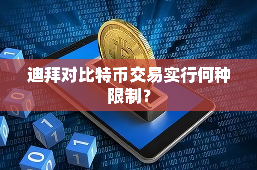 迪拜对比特币交易实行何种限制？第1张-币家园