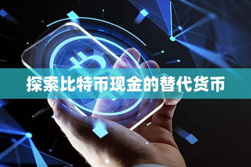 探索比特币现金的替代货币