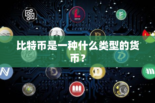 比特币是一种什么类型的货币？第1张-币家园