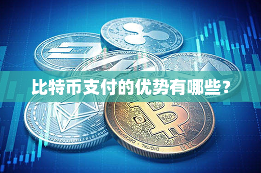 比特币支付的优势有哪些？第1张-币家园