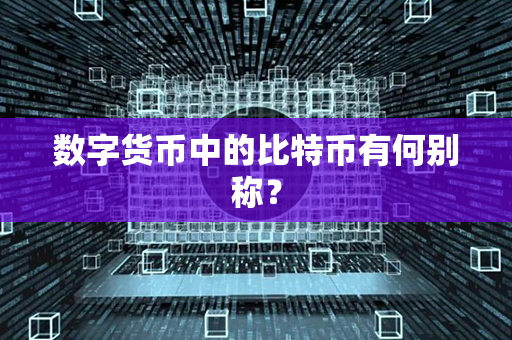 数字货币中的比特币有何别称？