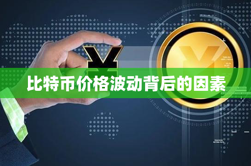 比特币价格波动背后的因素第1张-币家园