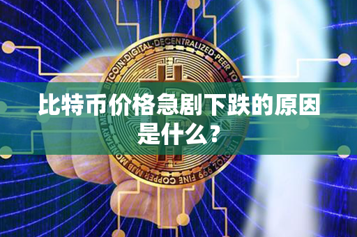 比特币价格急剧下跌的原因是什么？第1张-币家园