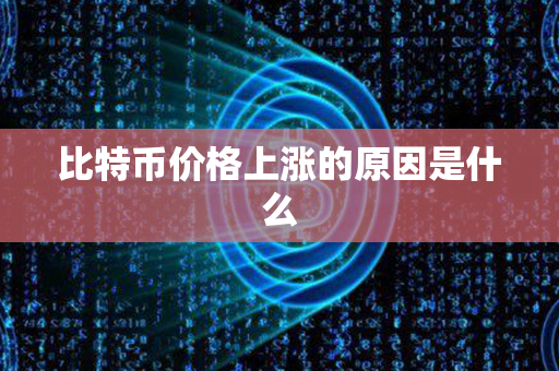 比特币价格上涨的原因是什么第1张-币家园