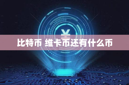 比特币 维卡币还有什么币第1张-币家园