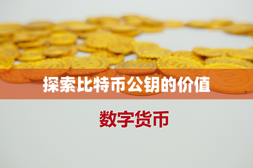 探索比特币公钥的价值