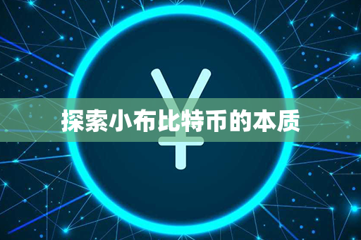 探索小布比特币的本质第1张-币家园