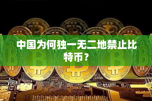 中国为何独一无二地禁止比特币？