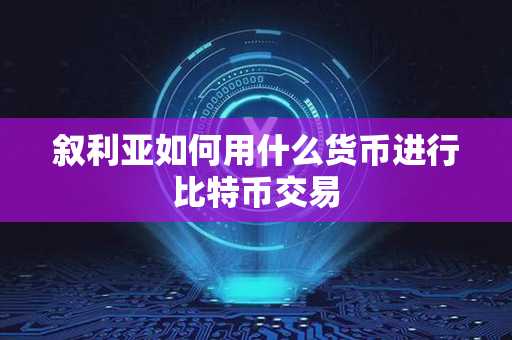 叙利亚如何用什么货币进行比特币交易