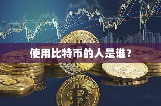 使用比特币的人是谁？第1张-币家园