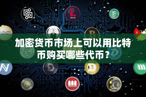 加密货币市场上可以用比特币购买哪些代币？