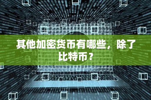 其他加密货币有哪些，除了比特币？第1张-币家园