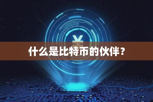 什么是比特币的伙伴？