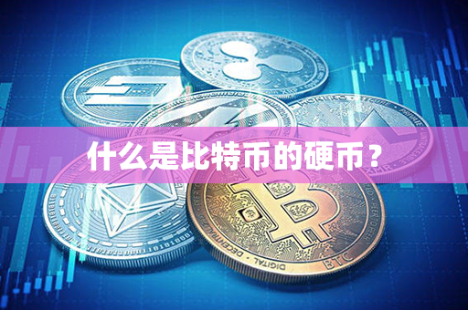 什么是比特币的硬币？