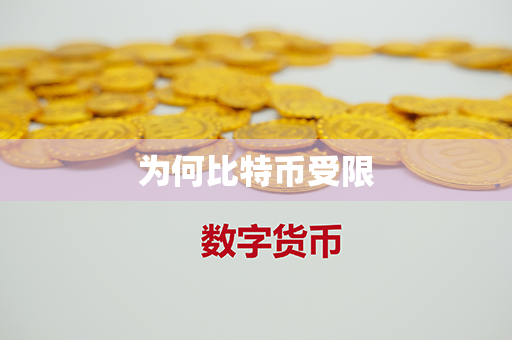 为何比特币受限