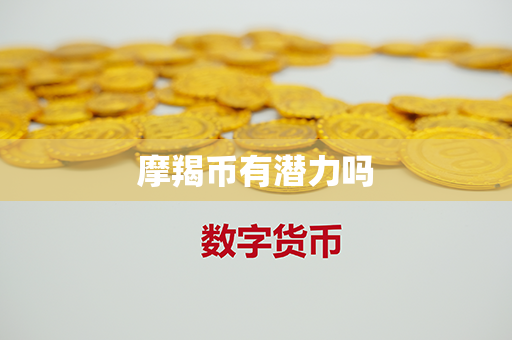 摩羯币有潜力吗