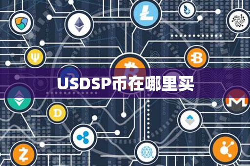 USDSP币在哪里买第1张-币家园