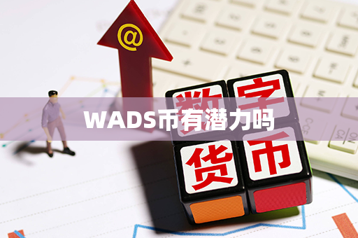 WADS币有潜力吗