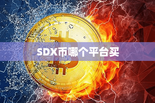 SDX币哪个平台买