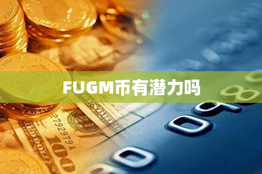 FUGM币有潜力吗