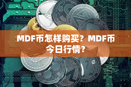 MDF币怎样购买？MDF币今日行情？