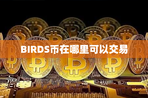 BIRDS币在哪里可以交易