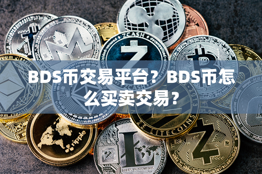 BDS币交易平台？BDS币怎么买卖交易？