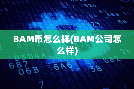 BAM币怎么样(BAM公司怎么样)