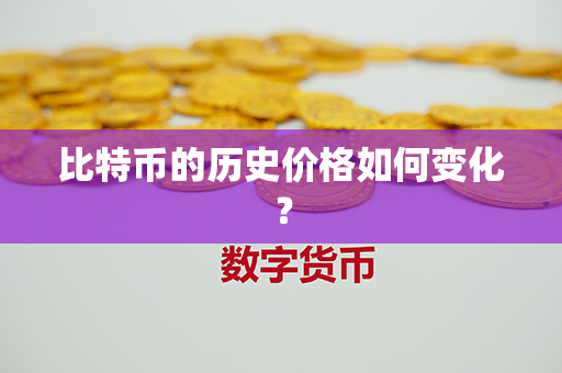 比特币的历史价格如何变化？