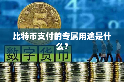 比特币支付的专属用途是什么？