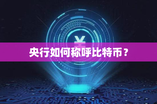 央行如何称呼比特币？