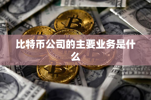 比特币公司的主要业务是什么